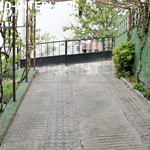 26226_2_1761562543.JPG