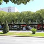 35886_28_1777370648.jpg