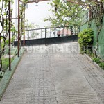 26226_2_1761562543.JPG