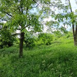 podsused-gra-evinsko-zemlji-te--bizek-iii---5-__zUcwMqxm-1448x1086.jpg