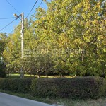 20261006-165532__KkuBewFO-4000x2252.jpg