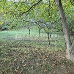 20261006-172208__Vrz9zoWo-4000x2252.jpg
